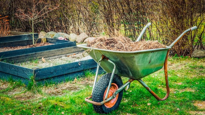 Seasonal yard cleanup and debris removal services