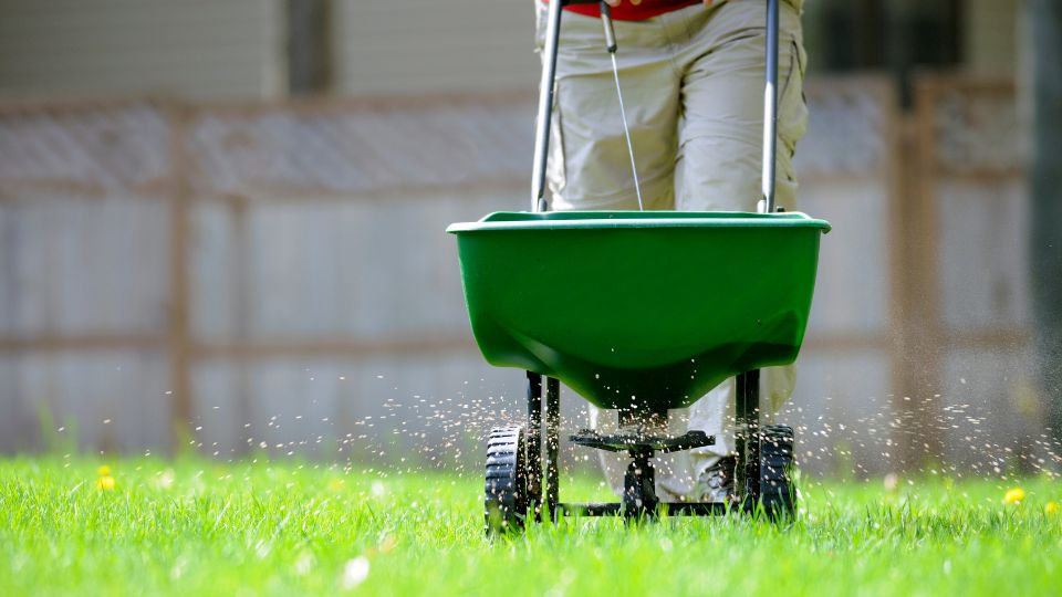 Lawn fertilization and treatment services for healthy grass growth