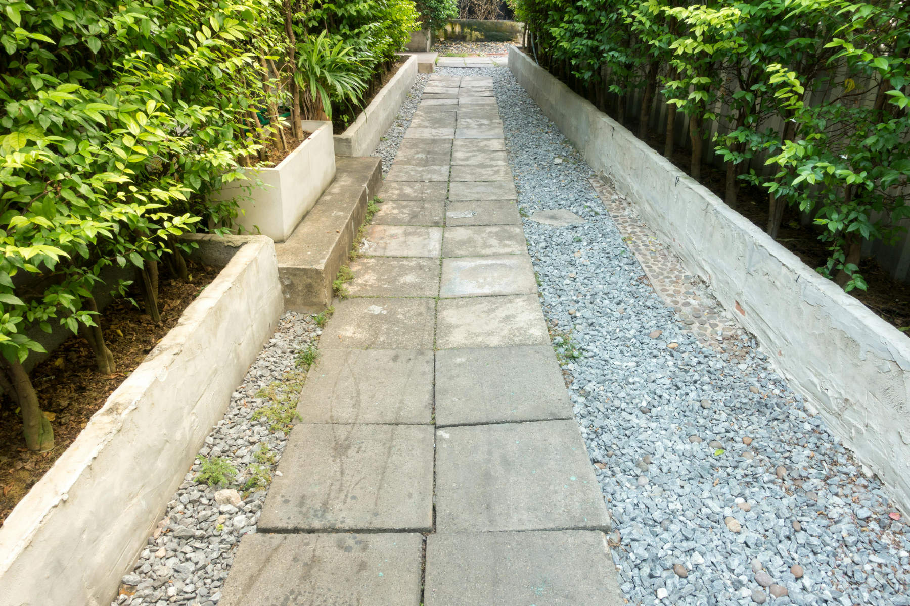 Professional landscaping and garden maintenance services