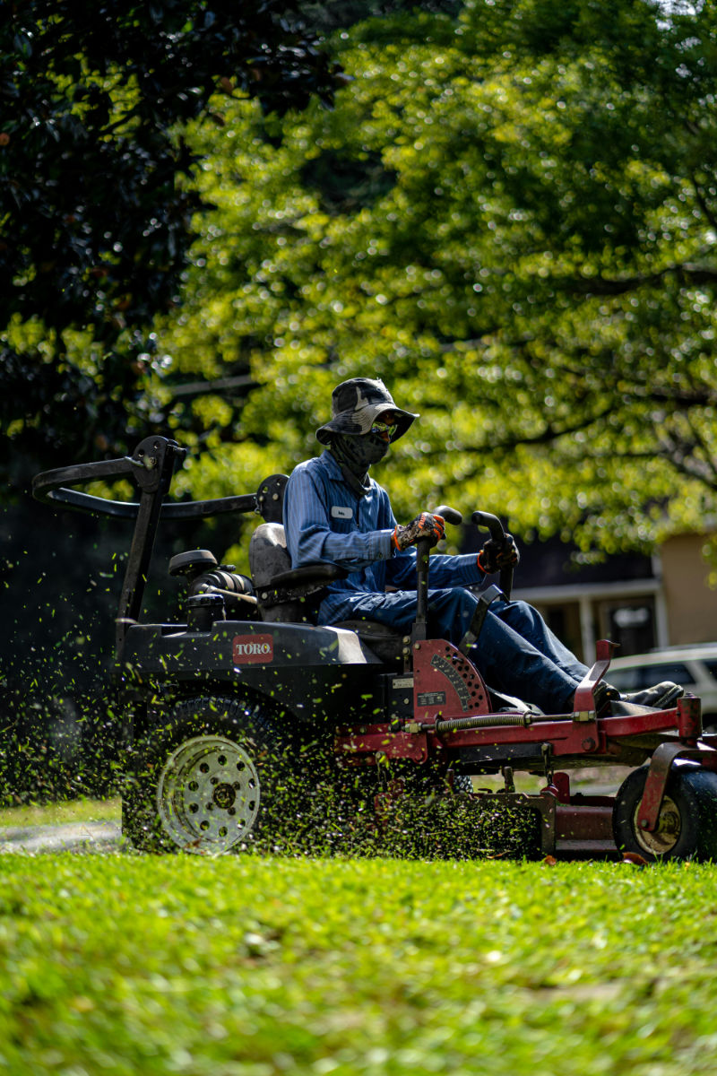 Professional lawn mowing service with precise cutting and edging